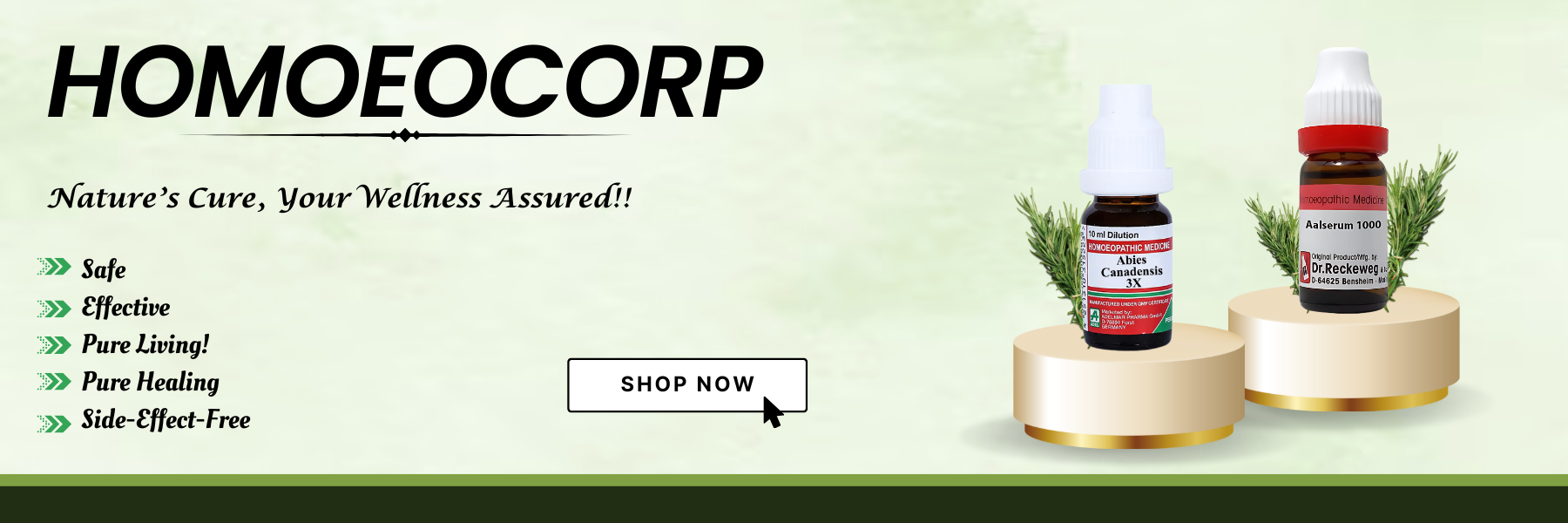 homoeocorp